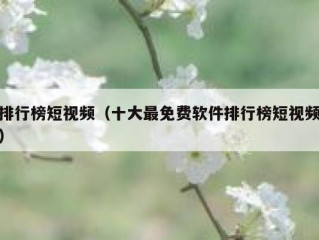 排行榜短视频（十大最免费软件排行榜短视频）