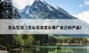 怎么引流（怎么引流怎么推广自己的产品）