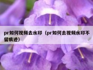 pr如何视频去水印（pr如何去视频水印不留痕迹）