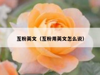 互粉英文（互粉用英文怎么说）