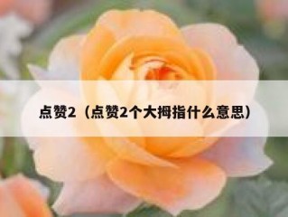 点赞2（点赞2个大拇指什么意思）