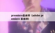 premiere去水印（adobe premiere 去水印）