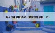 新人快速涨粉1000（如何快速涨粉一万）