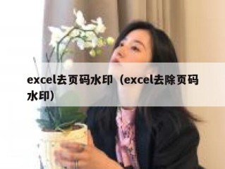 excel去页码水印（excel去除页码水印）