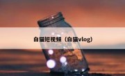 白猫短视频（白猫vlog）