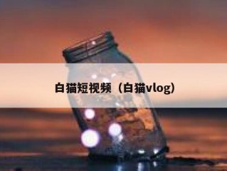 白猫短视频（白猫vlog）