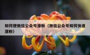 如何使微信公众号涨粉（微信公众号如何快速涨粉）