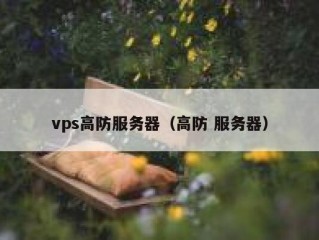 vps高防服务器（高防 服务器）