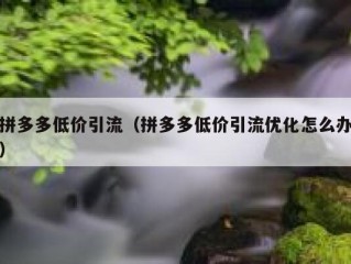 拼多多低价引流（拼多多低价引流优化怎么办）