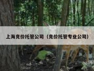 上海竞价托管公司（竞价托管专业公司）