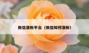 微信涨粉平台（微信如何涨粉）