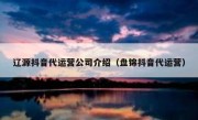 辽源抖音代运营公司介绍（盘锦抖音代运营）