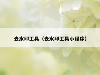 去水印工具（去水印工具小程序）