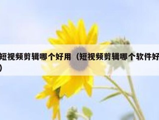 短视频剪辑哪个好用（短视频剪辑哪个软件好）