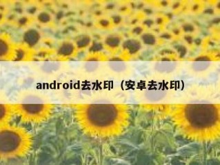 android去水印（安卓去水印）