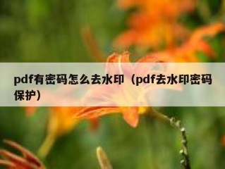 pdf有密码怎么去水印（pdf去水印密码保护）