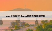 sem竞价投放（sem竞价投放策略思路）