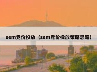 sem竞价投放（sem竞价投放策略思路）