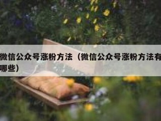 微信公众号涨粉方法（微信公众号涨粉方法有哪些）