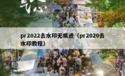 pr2022去水印无痕迹（pr2020去水印教程）