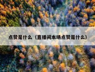 点赞是什么（直播间本场点赞是什么）