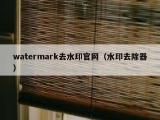 watermark去水印官网（水印去除器）