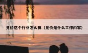 竞价这个行业怎么样（竞价是什么工作内容）