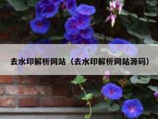 去水印解析网站（去水印解析网站源码）