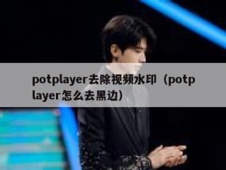 potplayer去除视频水印（potplayer怎么去黑边）