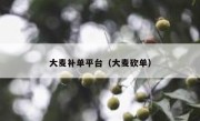 大麦补单平台（大麦砍单）