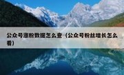 公众号涨粉数据怎么查（公众号粉丝增长怎么看）