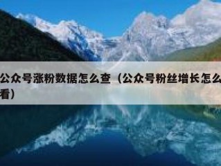 公众号涨粉数据怎么查（公众号粉丝增长怎么看）