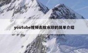 youtube视频去除水印的简单介绍