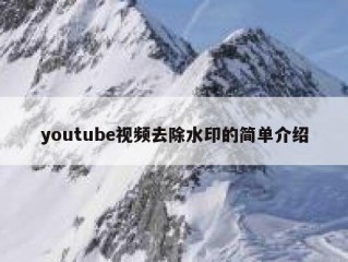 youtube视频去除水印的简单介绍