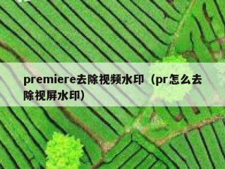 premiere去除视频水印（pr怎么去除视屏水印）