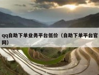 qq自助下单业务平台低价（自助下单平台官网）