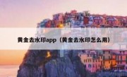 黄金去水印app（黄金去水印怎么用）