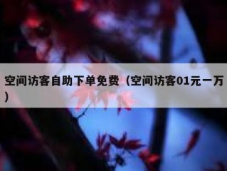 空间访客自助下单免费（空间访客01元一万）