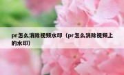 pr怎么消除视频水印（pr怎么消除视频上的水印）