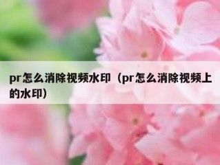 pr怎么消除视频水印（pr怎么消除视频上的水印）