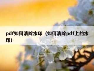 pdf如何清除水印（如何清除pdf上的水印）