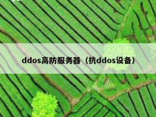 ddos高防服务器（抗ddos设备）