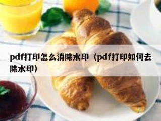 pdf打印怎么消除水印（pdf打印如何去除水印）