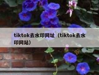 tiktok去水印网址（tiktok去水印网站）