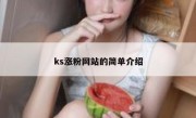 ks涨粉网站的简单介绍