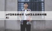 pdf怎样去掉水印（pdf怎么去掉水印图片）