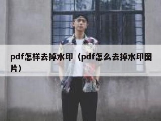 pdf怎样去掉水印（pdf怎么去掉水印图片）