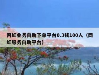 网红业务自助下单平台0.3钱100人（网红服务自助平台）