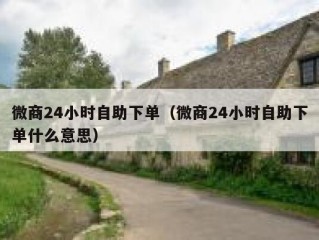 微商24小时自助下单（微商24小时自助下单什么意思）