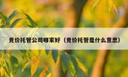 竞价托管公司哪家好（竞价托管是什么意思）